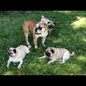 Meet your Posher, Kim